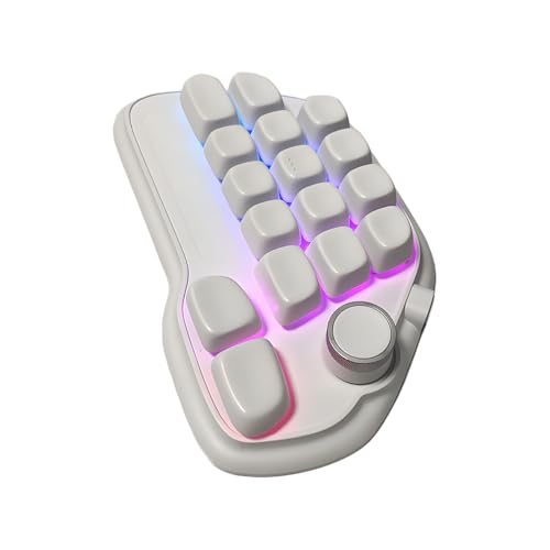 Qsvbeeqj 有線 USB メカニカル テンキー 17 ホットスワップ可能 RGB バックライトおよび PBT キーキャップ付き ラップトップ PC 用にプログラム可能 ホットスワップ可能な USB テンキーパッド
