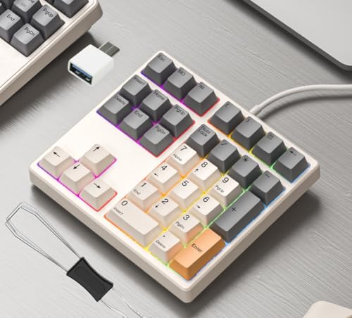 Levieny メカニカルテンキー 34キー プログラマブル&マクロキーボード [有線/USB Type-C両対応] [QMK/VIAカスタマイズ] [RGB/ホットスワップ/PBT] [PC・ノートPC兼用] 会計士/ゲーマー向け省力設計 矢印キー搭載 (USB変換アダプタ・抜軸工具付)赤軸(高速トリガー)赤軸 RGB-MF34