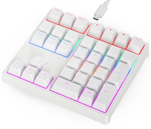 Gurjot 数字パッド メカニカル USB 有線テンキー RGB LEDバックライト付き 34キー テンキー PBTキーキャップ付き ブルースイッチ Windows/Mac ノートパソコン コンピューター デスクトップ PC ノートブック用 (ホワイト) A36-White