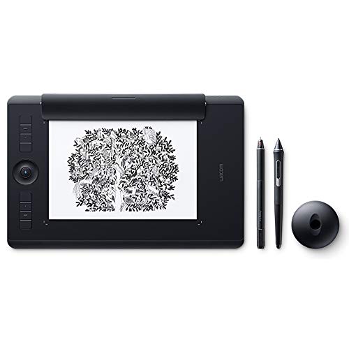 Wacom ワコム Wacom Intuos Pro Paper Edition Mサイズ A5対応 ペンタブレット ペーパーエディション ペン入力 Wacom Pro Pen 2 付属 PTH-660/K1