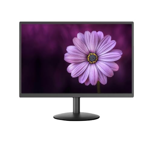 Nugens ディスプレイ モニター 23.8インチ フルHD 1080P 60Hz HDMI／VGA端子搭載 オーディオポート内蔵 HDR技術 DCR機能 NuSmart Color技術 VESA壁掛け 待機消費電力0.5W 盗難防止ロックホール 非光沢 ND-24E