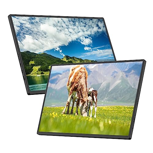 ALXFFBN 18.5インチ 1080P ポータブルモニター IPS スクリーン 1920*1080 解像度 178°広視野角 60Hz リフレッシュレート 内蔵デュアルスピーカーと PU レザー磁気カバー Type-C/HD /3.5MM ポート付き ラップトップ タブレット電話と互換性あり ALXFFBNJPYUANNPC13097US