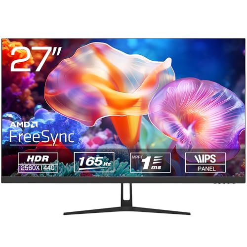 ASTEX 27インチ WQHDモニター IPSパネル 165Hz 1ms AMD FreeSync対応 ノングレア非光沢 pcモニター 2560x1440解像度 フリッカーフリー ベゼルレス 壁掛け対応 液晶ディスプレイ ゲーム/作業に最適