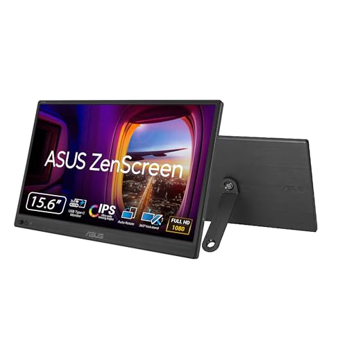ASUS ZenScreen MB169CK-P
