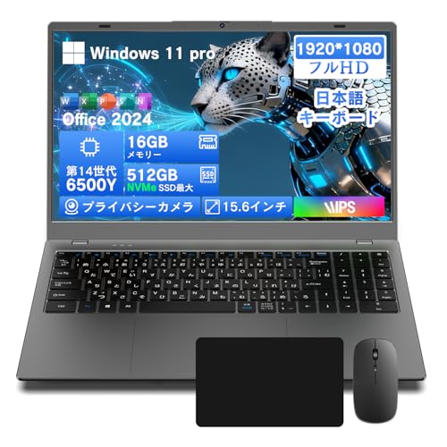 Dobios ノートパソコン Type-C NCS215Y16512G