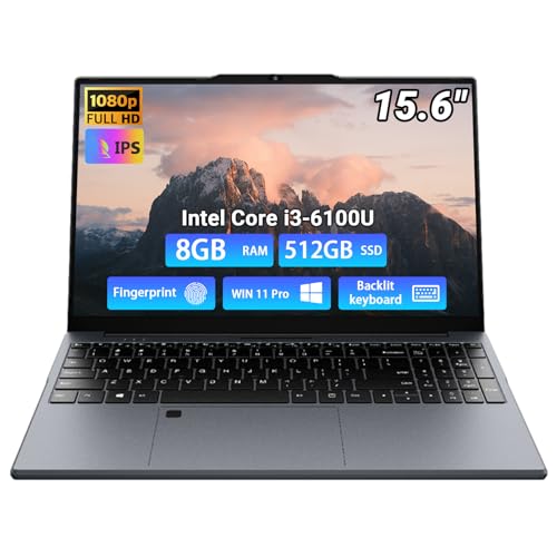 Breloom i3-6100U