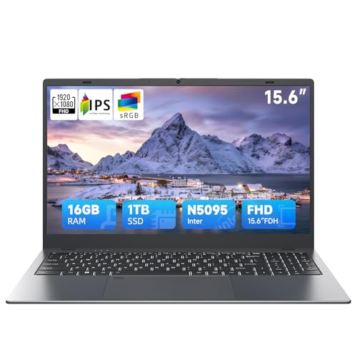 BLUEING 1TB SSD