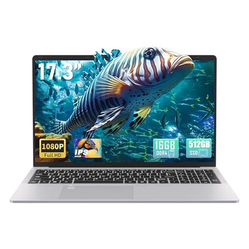 Svikou RAM 512G