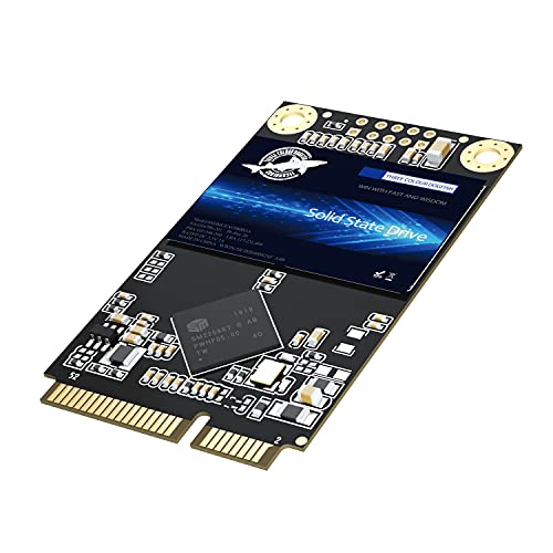 THREE COLOUR DOGFISH mSATA 1TB｜THREE COLOUR DOGFISH