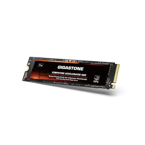 Gigastone M.2 NVMe 1TB｜Gigastone GS-PCIe-SSD-HPC8450- -1PK-B GS-PCIe-SSD-HPC8450-1TB-1PK-B