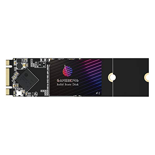 GAMERKING M.2 2280 SATA 64GB｜GAMERKING B095WJ4ZH4