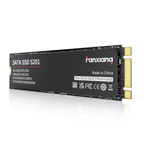 fanxiang M.2 SATA 512GB｜fanxiang B0BM3Z1K85 S201