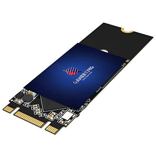 GAMERKING M.2 2260 SATA 256GB｜GAMERKING B08864DCFZ