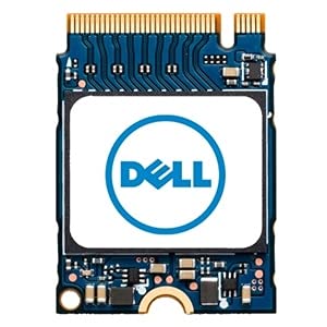 Dell M.2 2230 NVMe 256GB｜Dell B08Z49W5WX SNP112233P