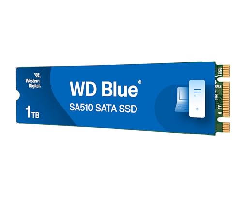 SanDisk M.2 2280 SATA 1TB｜SanDisk Western Digital WD BLUE SA510 WDS100T3B0B-EC