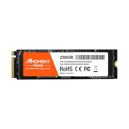 MMOMENT M.2 2280 NVMe 250GB｜MMOMENT MG43 NVMe1.4 Gen4 MG43