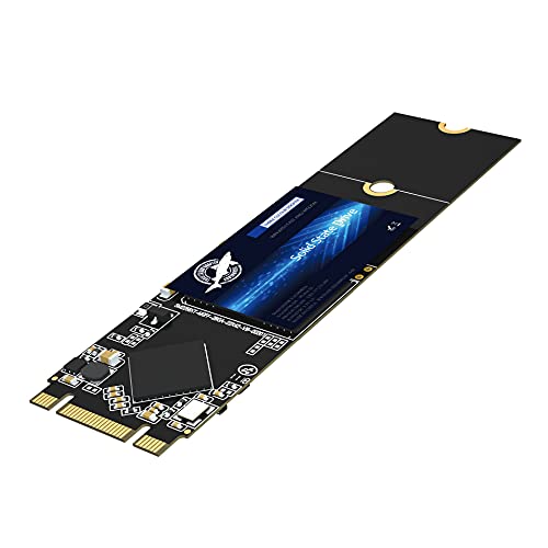 Dogfish M.2 2280 500GB｜Dogfish B07JHSRQ4L
