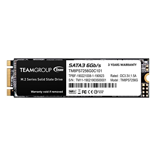 TEAMGROUP M.2 2280 SATA 256GB｜TEAMGROUP B07H23ZD94 TM8PS7256G0C101