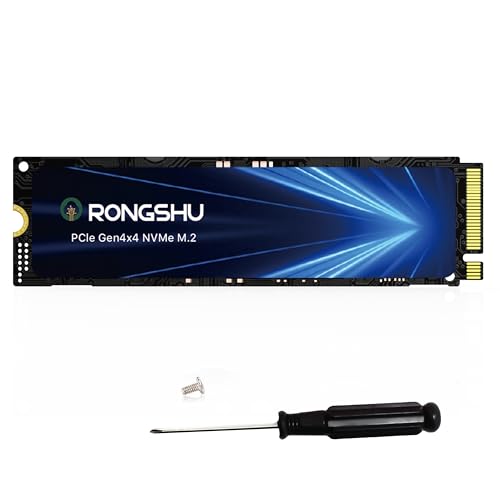 RONGSHU M.2 NVMe 1TB｜RONGSHU B0DWFPJSQB RP7000