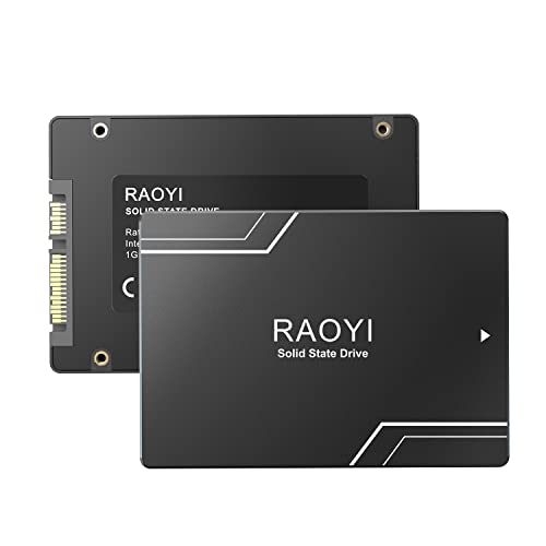 RAOYI 2.5インチ SATA 256GB｜RAOYI B0CF5B2K5Y 5c295cc5-3b2e-425f-8299-e4ce6bcf035b