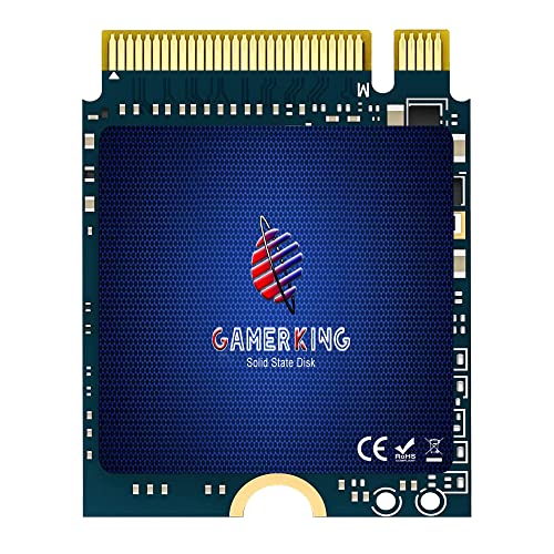 GAMERKING M.2 2230 NVMe 256GB｜GAMERKING Steam Deck Microsoft Surface pro 8 pro 7 pro X laptop3 Laptop 4 M.2 2230 PCIe 3.0 256GB