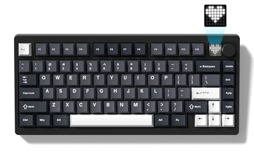 Womier ゲーミングキーボード Womier MT75 キーボード 無線 75%レイアウト テンキーレス ホットスワップ対応 ガスケット構造 Bluetooth 5.0/2.4G/有線接続 RGBバックライト 8000mAhバッテリー ノブ＆ディスプレイ付き US配列メカニカルキーボード ワイヤレス Windows/Mac用 JM-AZ-129