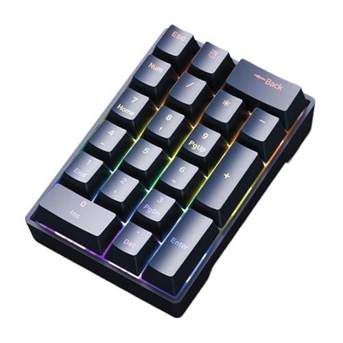 有線テンキー - F20 有線メカニカルテンキー |黒と白のメカニカルキーボード拡張、ラップトップ PC デスクトップノートブック会計士財務アナリスト用ワイヤーテンキーパッドプラグイン OLD37IB4LRR0FS48