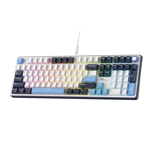 RK ROYAL KLUDGE X104 フルサイズメカニカルキーボード、有線クリーミーゲーミングキーボード（テンキーとノブ付き）、104キー、リニアスイッチ、RGBバックライト、Windows/Mac用オンラインソフトウェア、US QWERTY RK X104