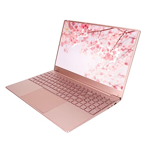 Rengu ビジネス用ミニノートパソコン Banntirmt2oxph5-11