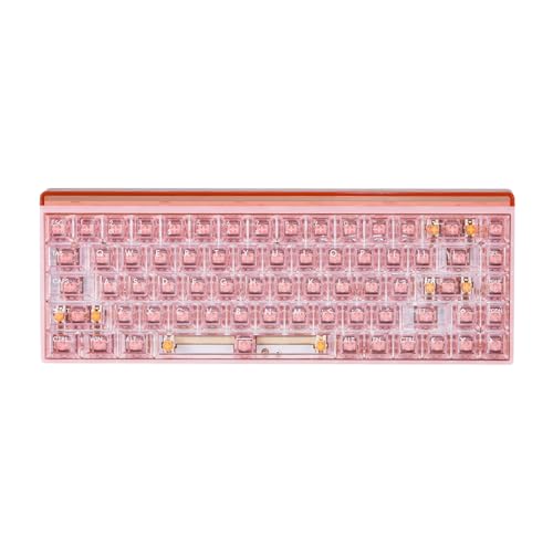 DHKING Hexgears MX68 メカニカルゲーミングキーボード 有線 60%TKL 取り外し可能なフレーム付き ホール効果 Nuomi 磁気スイッチ 0.125ms遅延&8000Hz ポーリングレート RGBバックライト&ライトボックス 5層構造&HiFiサウンド