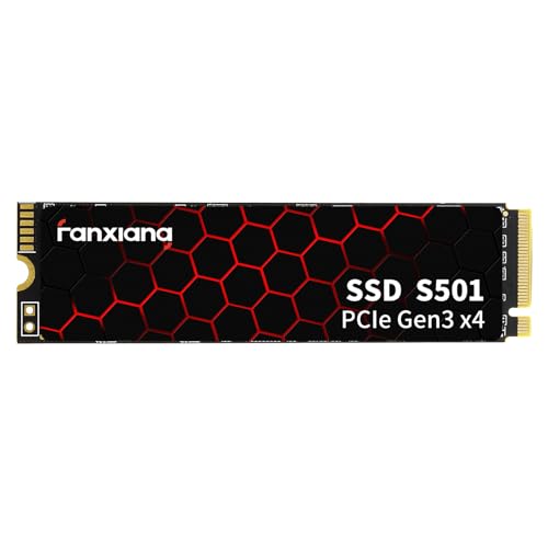 fanxiang M.2 2280 NVMe 256GB｜fanxiang B0B1HJV9VZ S501-256Go
