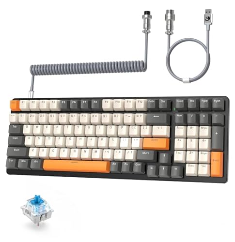 MAMBASNAKE K3 有線メカニカルキーボード ゲーミングキーボードコンパクト カスタムコイル状USB Cケーブル100キーアンチゴースト 10 レインボーLEDバックライト付き USB 有線キーボード テンキー付き クラシックなタクタイルブルースイッチ ABS カラーマッチングキーキャップ 人間工学デザイン-きらめく