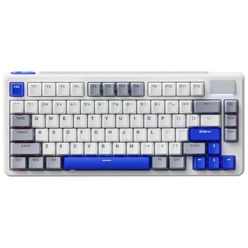 rapoo V700DIY-75 ワイヤレスメカニカルキーボード BT5.0 + 2.4GHz ホットスワップ可能なカスタムゲーミングキーボード スピードシルバーリニアスイッチ キーあたり16.8M RGB ガスケットマウント クリーミーサウンド フルNKRO アンチゴースト