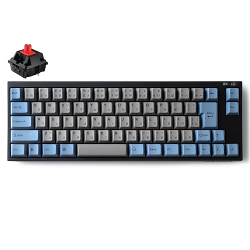 LEOPOLD レオポルド FC660MBT GRAYBLUE 日本語配列 かなあり コンパクトキーボード Bluetooth/USB接続両対応 キースイッチホットスワップ マルチペアリング 技適対応 70キー macOSモード有 FC660MBTR2/JAEGB CHERRY MX2A赤軸