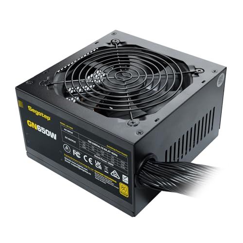【並行輸入品】 Segotep 650W 80 Plus Gold Certified Non-Modular ATX Power Supply with 6+2 Pin Connectors PFC Protection and RoHS Compliance, 120mm