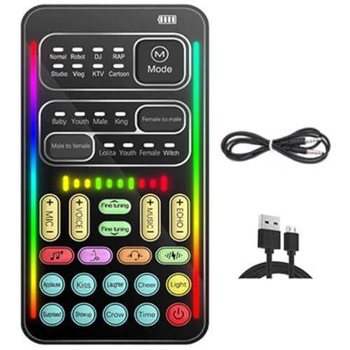 Luxshiny ミニボイスチェンジャー ポータブルボイスディスガイザー 音声変換マイク 300-500mAh容量 ノイズ低減 リバーブ効果 オンラインゲーム DJQZBR4