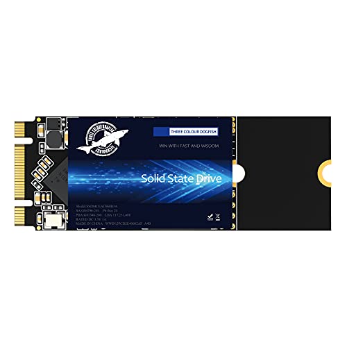 THREE COLOUR DOGFISH M.2 SATA 512GB｜THREE COLOUR DOGFISH Dogfish TLC 秒 (2260mm) - デスクトップPCノートパソコン