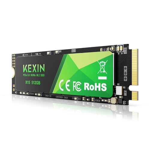 KEXIN M.2 NVMe 512GB｜KEXIN B0GHTXJJ5X
