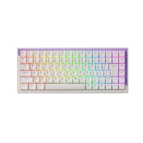 DrunkDeer G75 ラピッドトリガーキーボード eスポーツゲーミングキーボード 磁気スイッチ 調整可能なアクチュエーション ラストウィンモード 75%サイズ 日本語配列 パープル P03