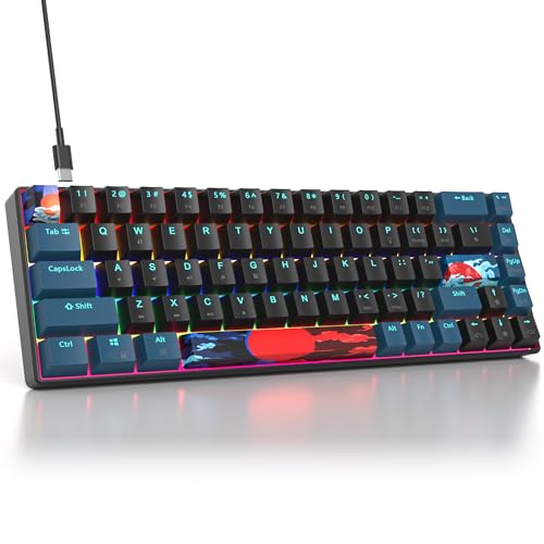 surmen 65%メカニカルゲーミングキーボード リニアレッドスイッチ付き 有線ミニコンパクトキーボード 60%バックライト ノートパソコン デスクトップ PCゲーマー用 (68 Monster B-Rainbow) 6fc0cd93-0cdc-4901-b6de-b4ef54ac8207