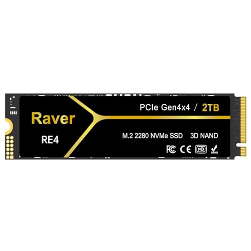 Raver M.2 NVMe 2TB｜Raver 放熱シート付 TLC R W PS5 Pro PS5 Slim PS5 動作確認済み RE4 RE4-P2A002TB/GH