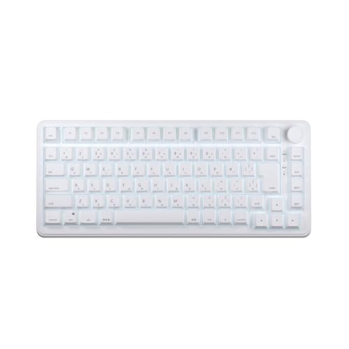 ラピッドトリガー ゲーミングキーボード 日本語配列 75%サイズ ポーリングレート8000Hz対応 0.01mm ホワイト ERSDGN57643