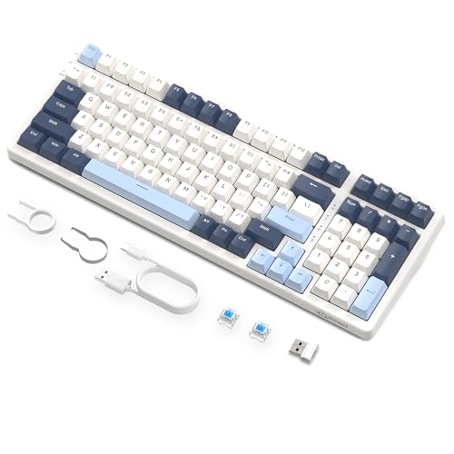 ZIYOU LANG K8 ゲーミングキーボード ワイヤレス メカニカルキーボード 100キー 青軸 テンキー ホットスワップ対応 ガスケットマウント カスタムRGBバックライト 2.4Ghz/ Bluetooth 5.0/Type-C有線 Windows/Android/IOS/Mac/Linux対応 （青軸）