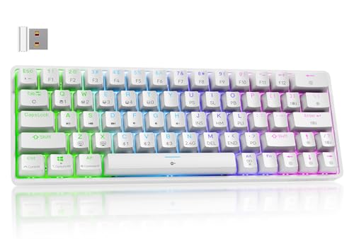DIERYA DK63 ワイヤレスゲーミングメカニカルキーボードBluetooth/2.4G/有線接続 赤軸メカニカルスイッチ 60％ キーボード RGBバックライト 全キー無衝突 英語配列 Windows/Mac対応 (ホワイト, 赤軸)