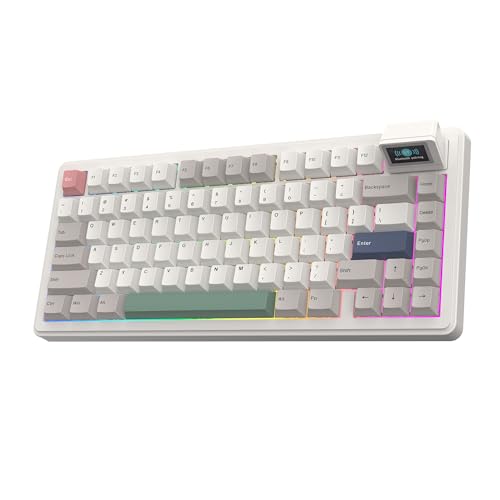EPOMAKER RT82 ワイヤレスゲーミングキーボード 液晶付き VIAカスタム 75% テンキーレス 無線 2.4GHz/USB-C/BT5.0 メカニカルキーボード RGBバックライト ガスケット 5パッド PBTキーキャップ ホットスワップ対応 ゲーム/オフィス用 Windows mac対応 (Sea Salt Silent)