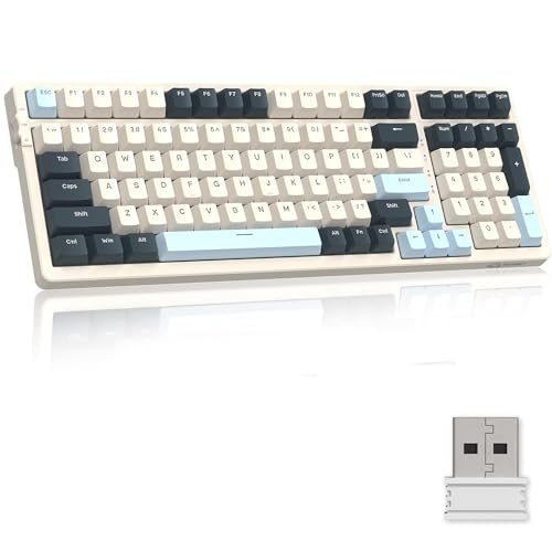 MAMBASNAKE MAGIC-REFINERメカニカルキーボード、ワイヤレスBluetooth5.0/2.4Ghz/TYPE-C有線、コイルケーブル、レシーバー付き、ホットスワップ、DIY軸、19RGBライト、充電式、テンキー付き、オフィス/ゲーム用、100キー小型コンパクト、コスパWindows/Mac/iPad/iOS/Android/Surface対応 在宅勤務ゲーミング 日本語説明書(海 青軸)