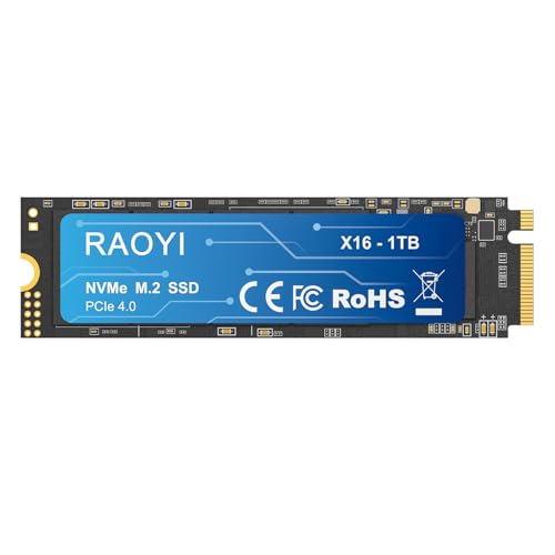 RAOYI M.2 2280 NVMe 1TB｜RAOYI B0F3776YTK