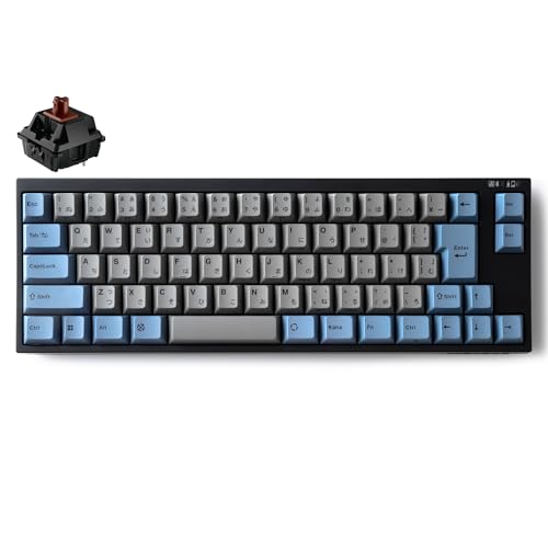 LEOPOLD レオポルド FC660MBT 日本語配列 かなあり コンパクトキーボード Bluetooth/USB接続両対応 カラー:GRAYBLUE キースイッチホットスワップ マルチペアリング 技適対応 70キー macOSモード有 FC660MBTN2/JAEGB CHERRY MX2A茶軸
