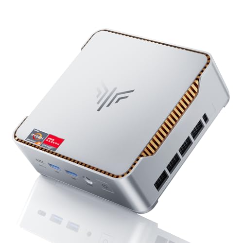 NiPoGi 8GB 256GB P2