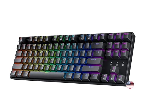 Geeky GK80 テンキーレス | ホットスワップ可能なメカニカルゲーミングキーボード | 87キー マルチカラー RGB LED バックライト PC/Macゲーマー用 | ANSI US American Layout (ブラック、メカニカルスピードシルバー) GK80 TKL US Layout-Mechanical